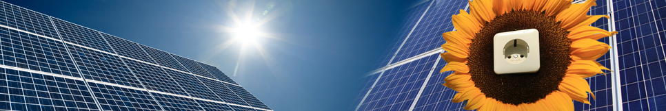 Banner - Hottgenroth Software GmbH & Co. KG